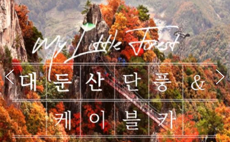[상품코드 9491]  당일대둔산단풍여행  - KTX / SRT  - 대둔산 구름다리 가을단풍 & 케이블카 & 장태산휴양림 여행(중식제공)