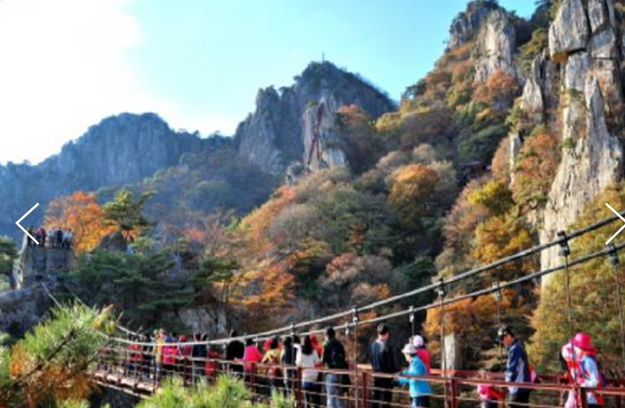 [상품코드 9491]  당일대둔산단풍여행  대둔산 구름다리 가을단풍 & 케이블카 & 장태산휴양림 여행(중식제공)