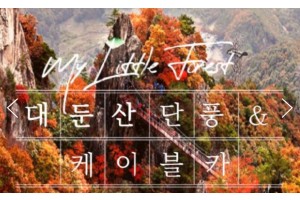 [상품코드 9491]  당일대둔산단풍여행  - KTX / SRT  - 대둔산 구름다리 가을단풍 & 케이블카 & 장태산휴양림 여행(중식제공)