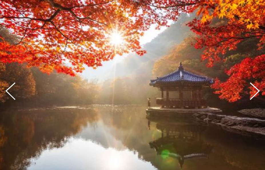 [상품코드 9787] 내장산 당일기차여행  (용산,수원,평택,서대전 출발) 새마을 - 가을여행의 1번지!! 내장산(내장사)단풍 여행(당일) 08:44분 출발~