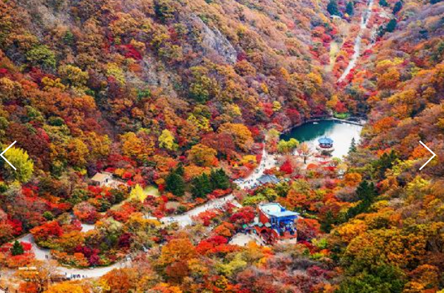 [상품코드 9787] 내장산 당일기차여행  (수원,평택,천안,서대전 출발) 새마을 - 가을여행의 1번지!! 내장산(내장사)단풍 여행(07:03 or 09:15출발)
