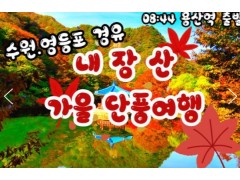 [상품코드 9787] 내장산 당일기차여행  (용산,수원,평택,서대전 출발) 새마을 - 가을여행의 1번지!! 내장산(내장사)단풍 여행(당일) 08:44분 출발~