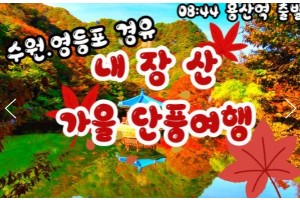 [상품코드 9787] 내장산 당일기차여행  (용산,수원,평택,서대전 출발) 새마을 - 가을여행의 1번지!! 내장산(내장사)단풍 여행(당일) 08:44분 출발~