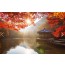 [상품코드 9787] 내장산 당일기차여행  (용산,수원,평택,서대전 출발) 새마을 - 가을여행의 1번지!! 내장산(내장사)단풍 여행(당일) 08:44분 출발~