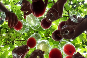 [상품코드 1880]  당일 와인열차여행 국악와인열차  4월 14(화)23(목) 영동 와이너리 / 김천 직지사+사명대사공원