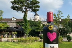 [상품코드 1880]  당일 와인열차여행 국악와인열차  4월 14(화)23(목) 영동 와이너리 / 김천 직지사+사명대사공원