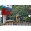 [상품코드 1880]  당일와인열차여행  [국악와인열차] 9월 29(화) 정읍 용산호 미르샘다리 / 고창 선운사 상사화