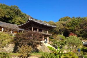 [상품코드 4646] 당일 - 강원도여행 - 천년고찰 영주부석사+선비세상 당일여행  *중식제공*