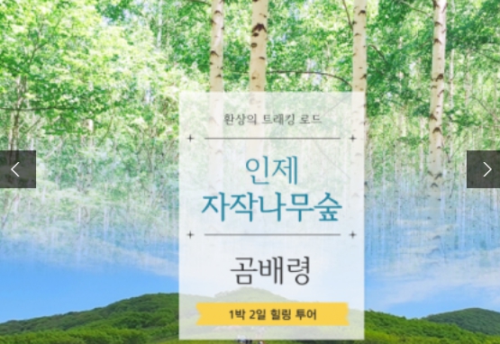 [ 곰배령 자작나무기차여행 ]  - 천상의화원 곰배령과 인제자작나무숲 1박2일 기차여행