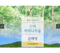 [ 곰배령 자작나무기차여행 ]  - 천상의화원 곰배령과 인제자작나무숲 1박2일 기차여행