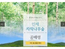 [ 곰배령 자작나무기차여행 ]  - 천상의화원 곰배령과 인제자작나무숲 1박2일 기차여행