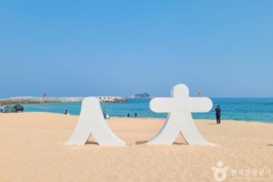 [상품코드 6978] 곰배령  [ITX-청춘/1박2일] 천상의 화원 곰배령 숲길완주 & 영랑호 산책