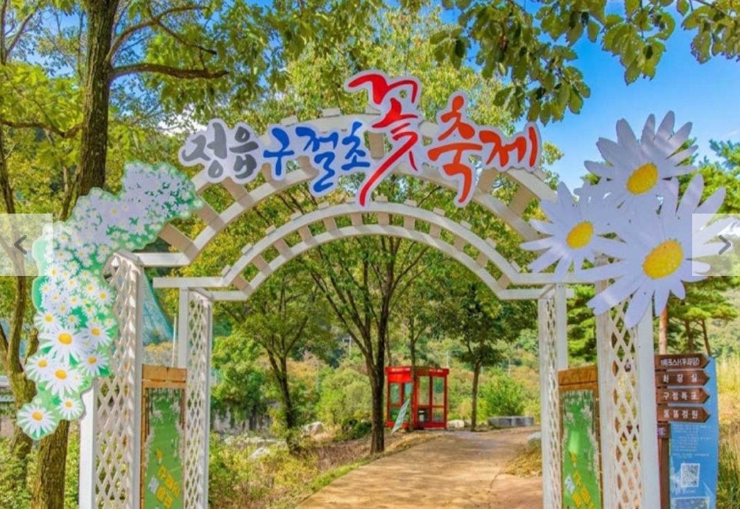 [상품코드 7689]  가을기차여행  정읍 구절초 꽃축제(가이드동행) 중식,석식제공  서울권,충청권,경상권 출발 10/8~18일까지