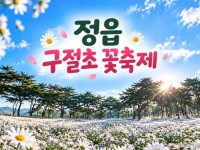 [상품코드 7689]  가을기차여행  정읍 구절초 꽃축제(가이드동행) 중식,석식제공  서울권,충청권,경상권 출발 10/8~18일까지