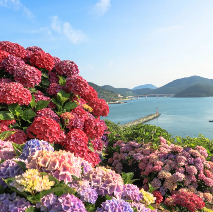 [상품코드 9978]  1박2일 - KTX - 완도 금당도 & 고흥반도일주( 나로도*쑥섬* 고흥우주발사전망대 ) 여행(전일정식사제공(4식)