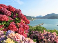 [상품코드 9978]  1박2일 - KTX - 완도 금당도 & 고흥반도일주( 나로도*쑥섬* 고흥우주발사전망대 ) 여행(전일정식사제공(4식)