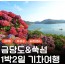 [상품코드 9978]  1박2일 - KTX - 완도 금당도 & 고흥반도일주( 나로도*쑥섬* 고흥우주발사전망대 ) 여행(전일정식사제공(4식)