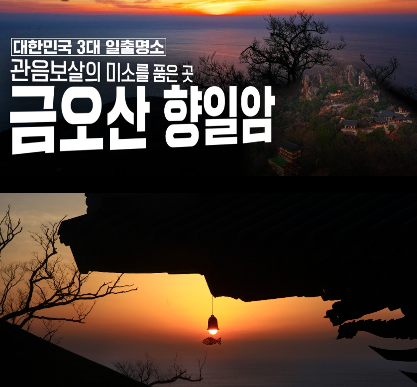 [상품코드 8900] 1박2일 - 남해 여수기차여행 서울/제천 출발 남도세레나데- 오산 사성암/금오산전망대 케이블카/보성녹차밭  (라마다호텔숙박)