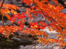 [상품코드 5491] 당일(토요일만출발) - 지리산기차여행 지리산 뱀사골&지리산 흑돼지구이+남원 광한루&추어탕(가이드동행)(중식,석식제공)
