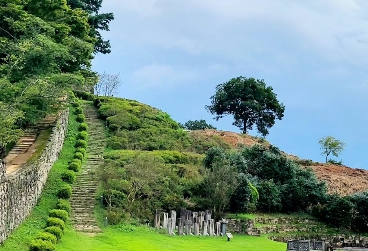 [상품코드 1254] 당일 - 와인기차여행 국악와인열차 4월 19(일) 익산 미륵사지 / 고창 청보리밭