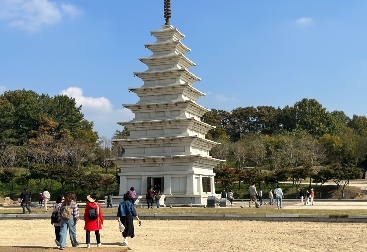 [상품코드 1254] 당일 - 와인기차여행 국악와인열차 4월 19(일) 익산 미륵사지 / 고창 청보리밭