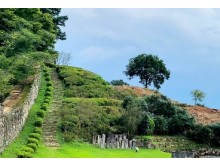 [상품코드 1254] 당일 - 와인기차여행 국악와인열차 4월 19(일) 익산 미륵사지 / 고창 청보리밭