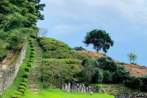 [상품코드 1254] 당일 - 와인기차여행 국악와인열차 4월 19(일) 익산 미륵사지 / 고창 청보리밭