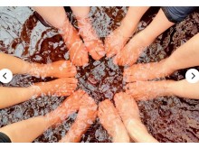 [상품코드 1300] 당일 - 와인기차여행 [국악와인열차]  [국악와인열차] 10월 13(화) 영동 와이너리 투어+월류봉 / 김천 직지사