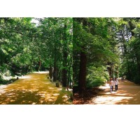 [상품코드 5959] [추석연휴기차여행 ] - 2026 추석 #1 ITX청춘 동해바다*정선 가리왕산케이블카&레일바이크*정선 옥산장 1박2일(가이드동행)