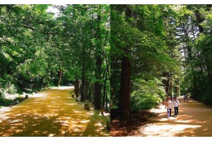 [상품코드 5959] [추석연휴기차여행 ] - 2026 추석 #1 ITX청춘 동해바다*정선 가리왕산케이블카&레일바이크*정선 옥산장 1박2일(가이드동행)