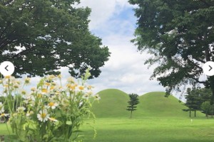 [상품코드 3500] 1박2일 - [KTX] 동해의 빛! 시간여행 경주+울산 태화강국가정원+부산 해변열차 기차여행