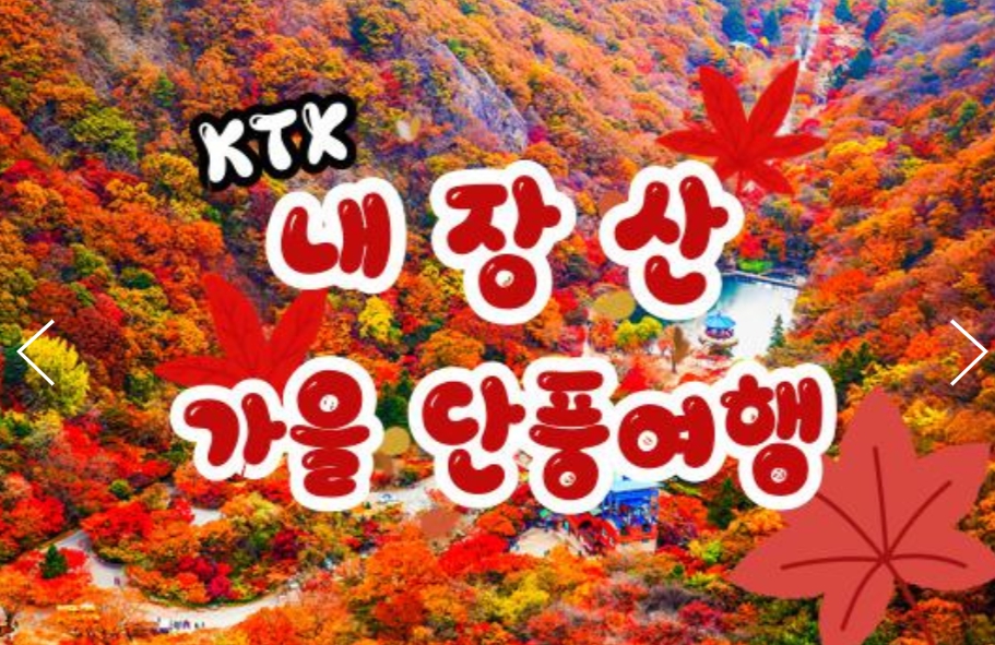 [상품코드 9531] 당일 내장산기차여행 ] 가을여행의 1번지!! 내장산(내장사)가을단풍 여행  (용산역 07:43분 or 10:32분출발)(수서역 08:30분 or 11:00 출발)