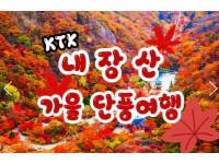 [상품코드 9531] 당일 내장산기차여행 ] 가을여행의 1번지!! 내장산(내장사)가을단풍 여행  (용산역 8:20분 or 10:40분출발)(수서역 08:30분 or 11:00 출발)