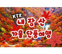 [상품코드 9531] 당일 내장산기차여행 ] 가을여행의 1번지!! 내장산(내장사)가을단풍 여행  (용산역 07:43분 or 10:32분출발)(수서역 08:30분 or 11:00 출발)