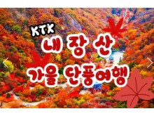 [상품코드 9531] 당일 내장산기차여행 ] 가을여행의 1번지!! 내장산(내장사)가을단풍 여행  (용산역 07:43분 or 10:32분출발)(수서역 08:30분 or 11:00 출발)
