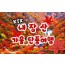 [상품코드 9531] 당일 내장산기차여행 ] 가을여행의 1번지!! 내장산(내장사)가을단풍 여행  (용산역 07:43분 or 10:32분출발)(수서역 08:30분 or 11:00 출발)