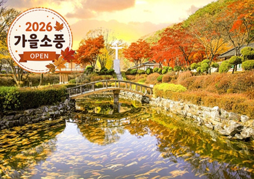 [상품코드 4465]  당일 ◆가을맞이◆ ] [KTX-당일]*석식제공*단풍명소 신흥강자!제천 배론성지+케이블카 [석식한식뷔페제공]