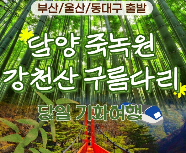 [상품코드 6469] [ 당일기차여행  - 부산,울산,동대구 출발 ] KTX 초록여행! 담양(죽녹원 & 메타세콰이어) ★ 강천산 구름다리 [중식제공]