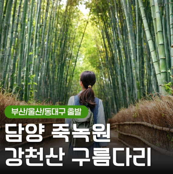 [상품코드 6469] [ 당일기차여행  - 부산,울산,동대구 출발 ] KTX 초록여행! 담양(죽녹원 & 메타세콰이어) ★ 강천산 구름다리 [중식제공]