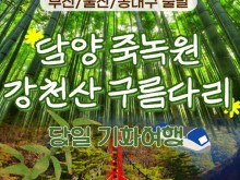 [상품코드 6469] [ 당일기차여행  - 부산,울산,동대구 출발 ] KTX 초록여행! 담양(죽녹원 & 메타세콰이어) ★ 강천산 구름다리 [중식제공]