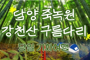 [상품코드 6469] [ 당일기차여행  - 부산,울산,동대구 출발 ] KTX 초록여행! 담양(죽녹원 & 메타세콰이어) ★ 강천산 구름다리 [중식제공]