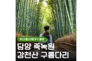 [상품코드 6469] [ 당일기차여행  - 부산,울산,동대구 출발 ] KTX 초록여행! 담양(죽녹원 & 메타세콰이어) ★ 강천산 구름다리 [중식제공]