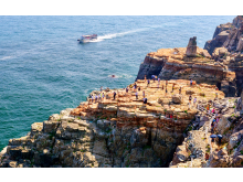 [상품코드 9469] 당일 - 부산시티투어(1탄)  태종대/송도케이블카/흰여울문화마을/산만디투어/자갈치시장 여행(중식제공)대전/동대구 출발