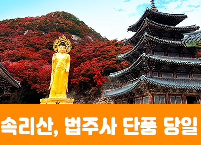 [상품코드 3154]  당일익산여행 [특별열차] 익산 NS푸드페스타 & 농촌크리에이투어 하루 기차여행 출발확정