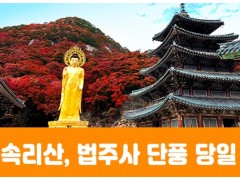[상품코드 3154]  당일익산여행 [특별열차] 익산 NS푸드페스타 & 농촌크리에이투어 하루 기차여행 출발확정