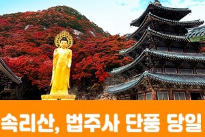 [상품코드 3154]  당일익산여행 [특별열차] 익산 NS푸드페스타 & 농촌크리에이투어 하루 기차여행 출발확정