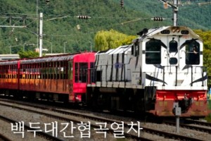[상품코드 4969][ 당일 - 협곡열차 [ITX마음-당일] NEW*중식/음료제공*[협곡열차②] 분천산타마을+백두대간수목원