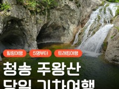 [상품코드 6799]  청정 자연 청송 주왕산 트래킹&주산지 왕버들 당일 기차여행(주중만출발)