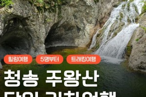 [상품코드 6799]  청정 자연 청송 주왕산 트래킹&주산지 왕버들 당일 기차여행(주중만출발)