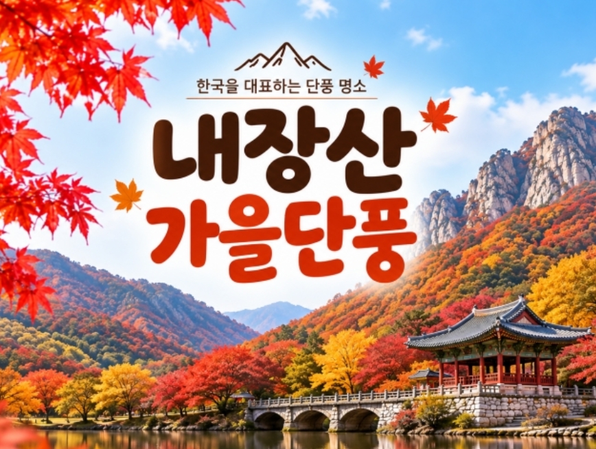 [상품코드 7341]  당일 내장산기차여행 - ★가을단풍★내장산&백양사 애기단풍(중식제공) [용산,천안,서대전,부산,동대구,창원,울산 출발]